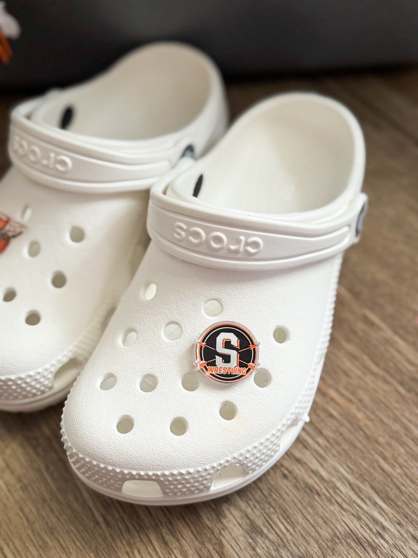 Wrestling Croc Charms
